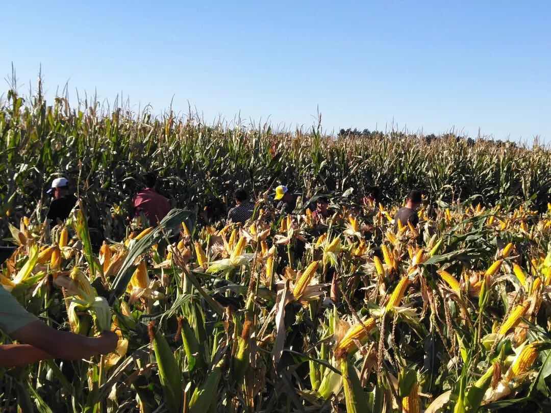 微信圖片_20181106153112.jpg 微信圖片_20181106153112.jpg